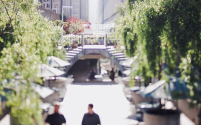 The North Star of Strategy: Why Customer Personas are Non-Negotiable