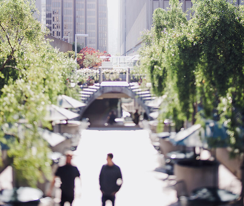 The North Star of Strategy: Why Customer Personas are Non-Negotiable